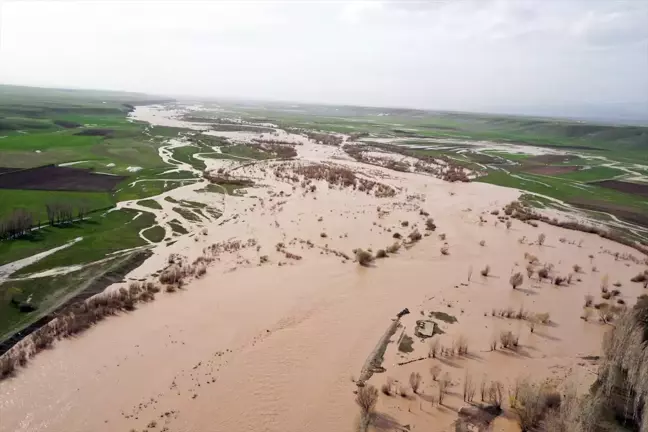 Ağrı'da Sağanak Nedeniyle Tarım Arazileri Su Bastı