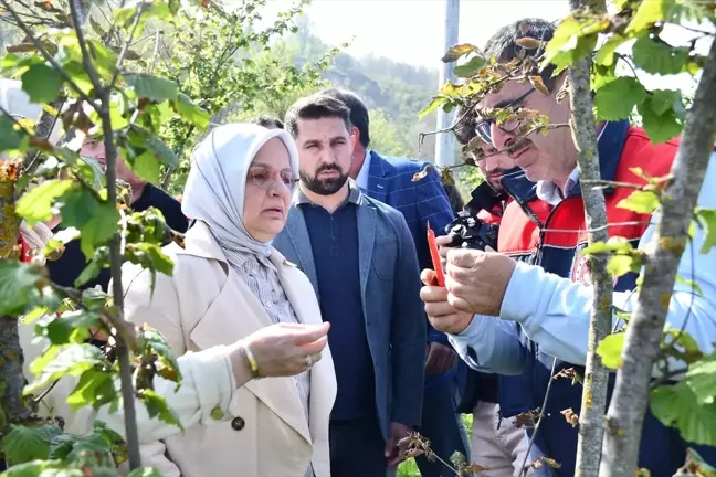 Düzce Milletvekili Ayşe Keşir'den Çiftçilere TARSİM Tavsiyesi