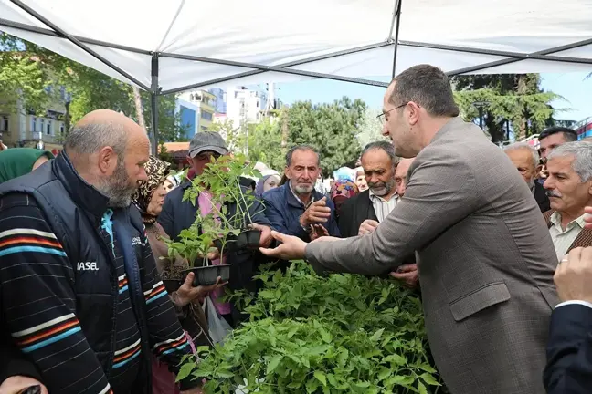 Akçaabat’ta 10 Bin Sebze Fidanı Ücretsiz Dağıtıldı
