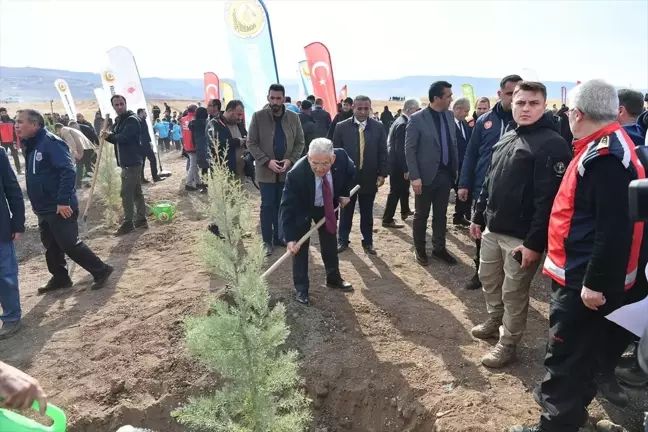 Kayseri'de 750 Bin Fidan Toprakla Buluştu