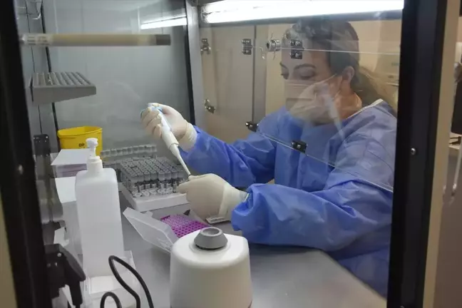 Trabzon'da HPV Taramaları Başarıyla Devam Ediyor