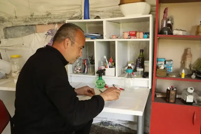 İklim Değişikliği ve Kene Hastalıkları Araştırması İçin Uluslararası Proje Başlatıldı