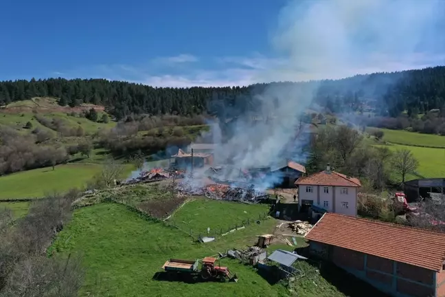 Kastamonu'da Yangın: 3 Ev ve 3 Ahır Kül Oldu