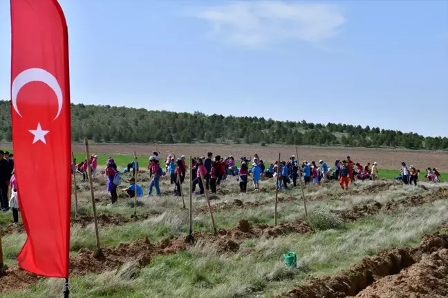 Kırşehir'de 1000 Fidan Dikim Etkinliği Düzenlendi