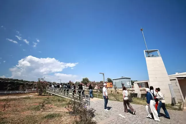 Öğrenciler Mersin'de Kaplumbağa Yuva Alanında Temizlik Düzenledi