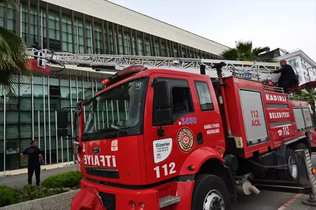 Kadirli Belediyesi, Kırlangıçlara Ev Sahipliği Yapıyor