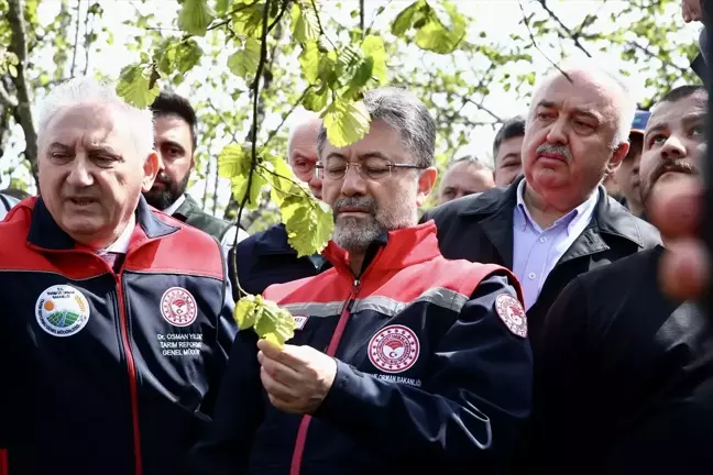 Tarım ve Orman Bakanı İbrahim Yumaklı, Giresun'da zirai dona ilişkin açıklamalarda bulundu Açıklaması