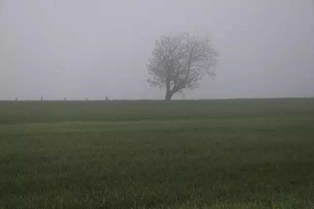 Tekirdağ'da Sis Görüş Mesafesini 40 Metreye Düşürdü