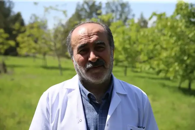 Melezleme ile Elde Edilen Ceviz Türleri Soğuktan Etkilenmedi