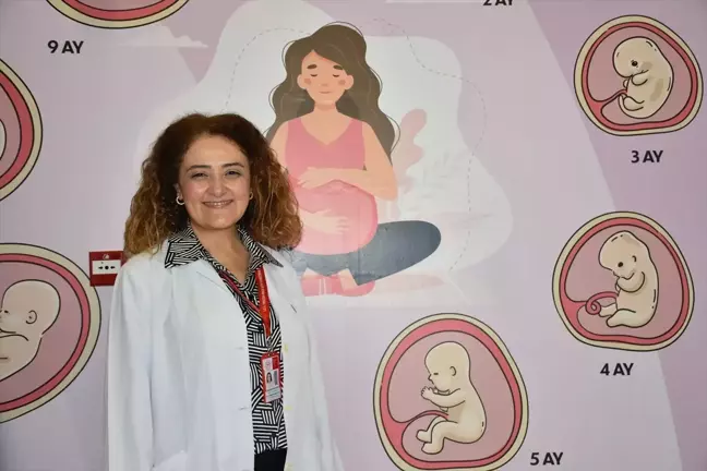Anne Sütü Bebekler İçin En İdeal Besin