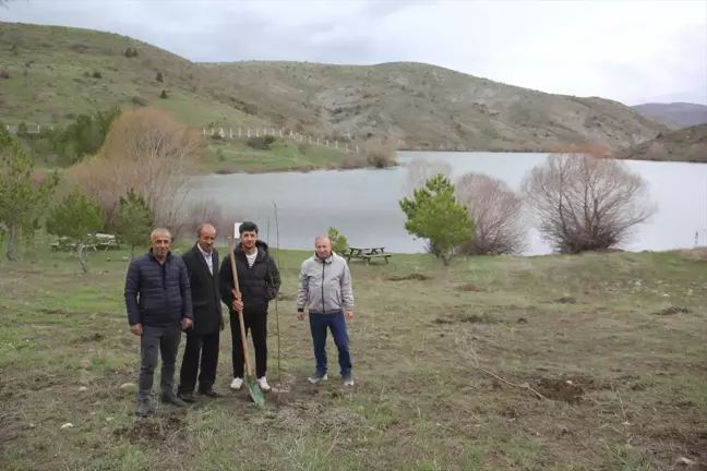 Sivas'ın Zara ilçesinde Kayısı Bahçeleri Kuruldu