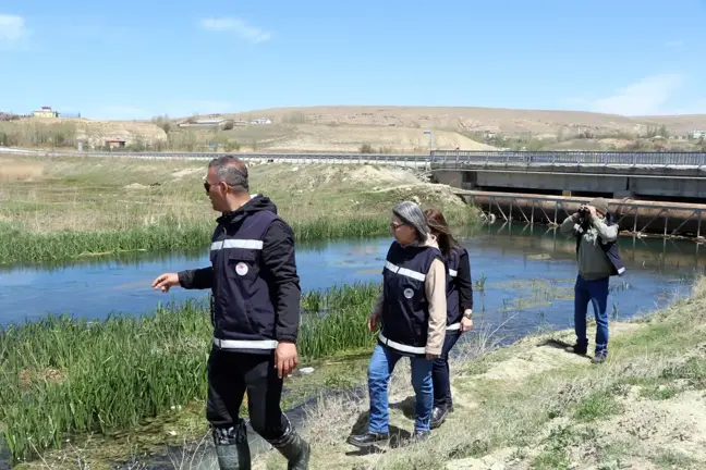 Van Gölü'nde İ inci Kefali için Kaçak Avcılığa Sıkı Denetim