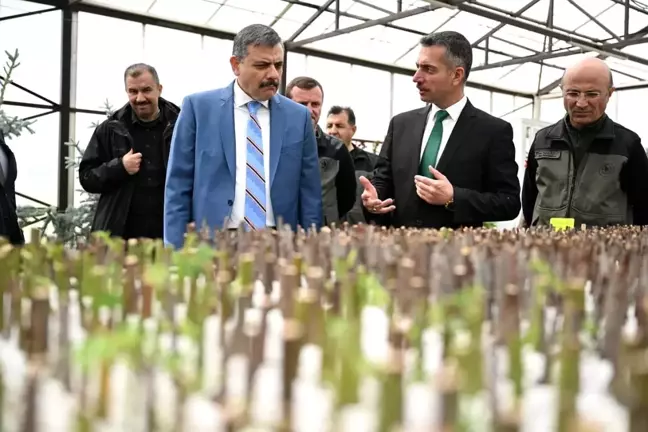 Vali Mustafa Çiftçi Erzurum Orman Bölge Müdürlüğünü Ziyaret Etti