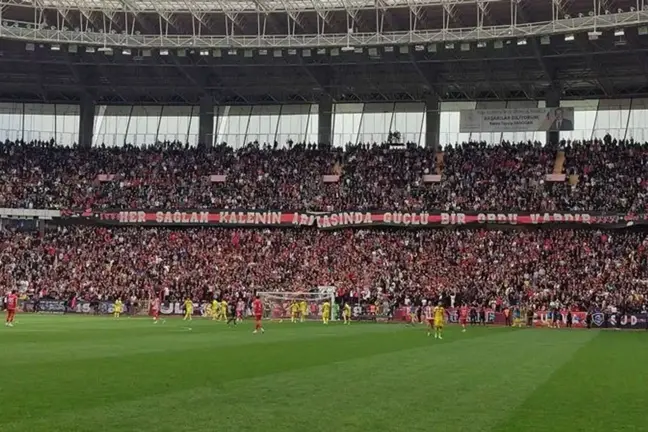 Eskişehirspor, profesyonel liglere geri döndü