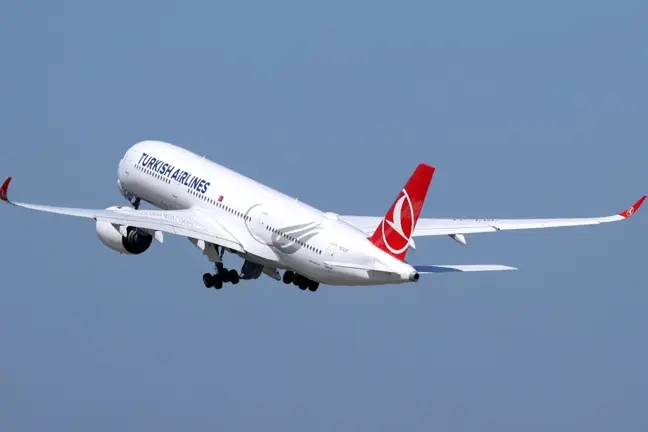 Hindistan'ın saldırıları nedeniyle THY ve Pegasus uçakları geri döndü