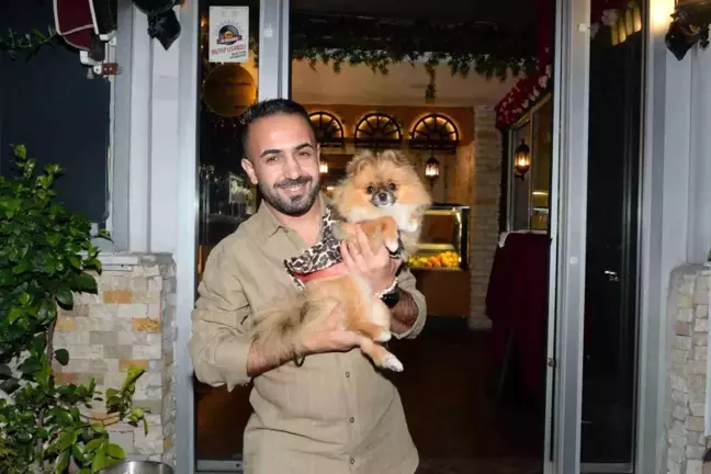 Güzellik Yarışması Birincisi Köpek Kayboldu