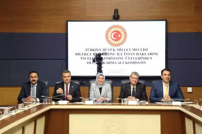 Kamu Denetçisi Yalçın: Risk grubundaki çocukların suç işleme oranı diğerlerine nazaran 11 kat daha fazla