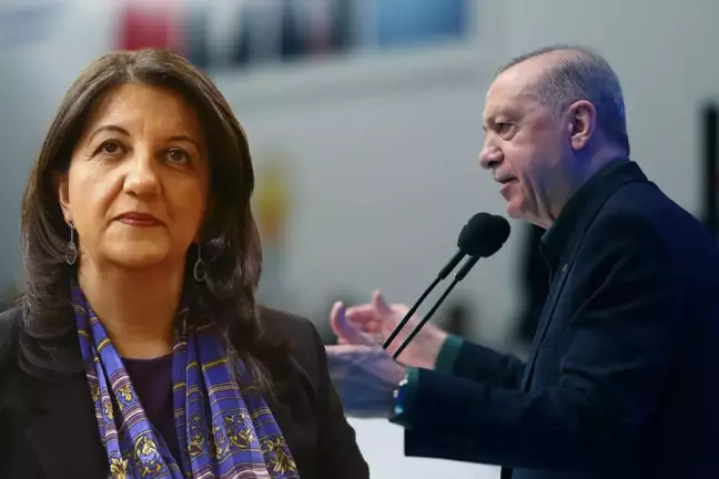 Erdoğan'ın