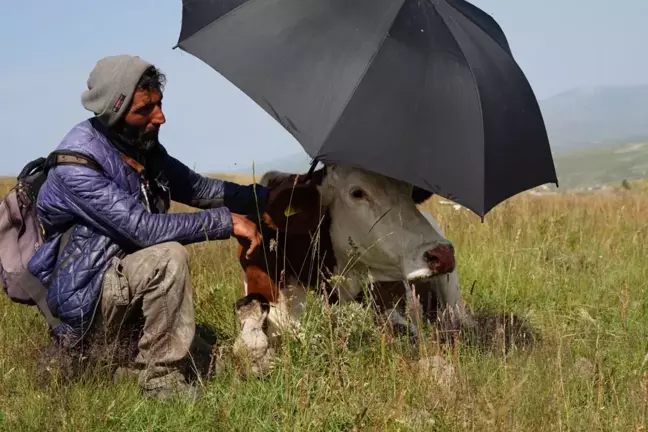 Şap hastalığının pençesinde kıvranan Ardahan'da çaresizliğin fotoğrafı