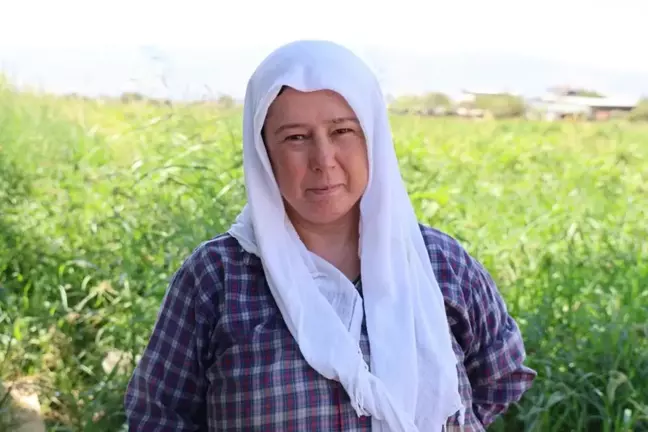 Çöl sıcağında ekmek mücadelesi: Öğlen 12'ye kadar çalışıp 1500 TL alıyorlar