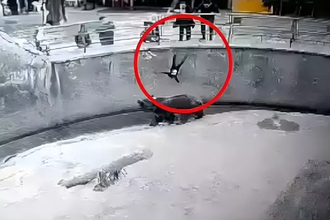 Yıllar önce hayvanat bahçesinde kafese attığı kızını bıçaklayarak öldürdü