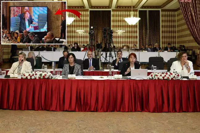 Prof. Dr. Havva Kök Aslan'ın 