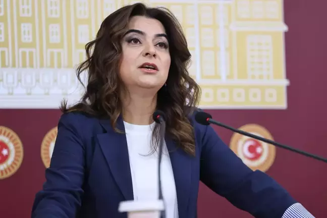 DEM Parti Irak, Suriye ve Lübnan tezkelerine 'Hayır' oyu verecek