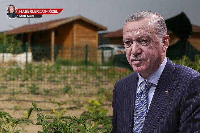 Hobi bahçeleri ne olacak? İşte Erdoğan'ın tartışmalı düzenleme için verdiği talimat