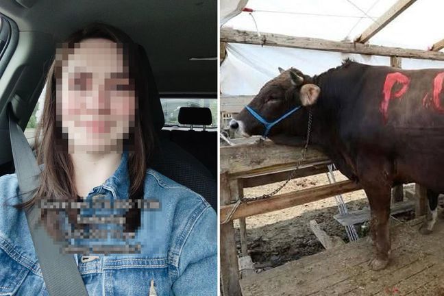 370 bin TL'lik kurbanı 210 bin TL'ye aldı, sorduğu soru olay oldu