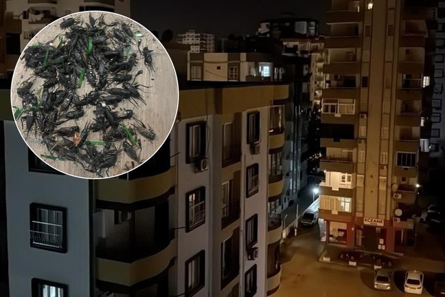 Şehirde kimse uyuyamıyor! Ses geceleri 100 desibele çıkıyor