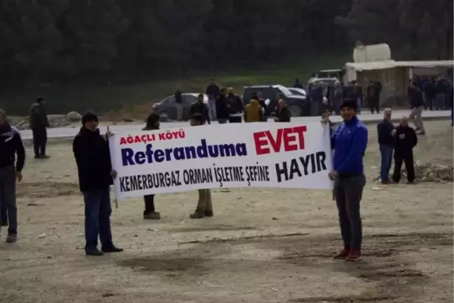 İstanbul'un 3 Köyünde Ağaç Budama Gerginliği