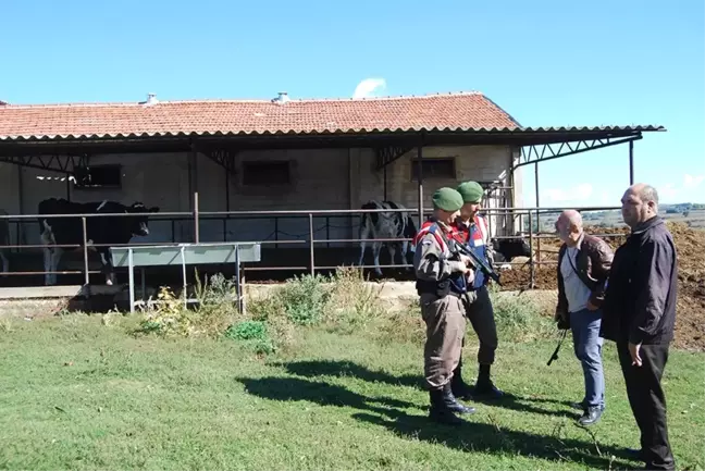 Hırsızlar Ahırdan 20 Bin Liralık 2 İnek Çaldı