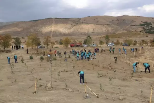 Erzincan'da Denetimli Serbestlik Yükümlüleri 260 Fidan Dikti