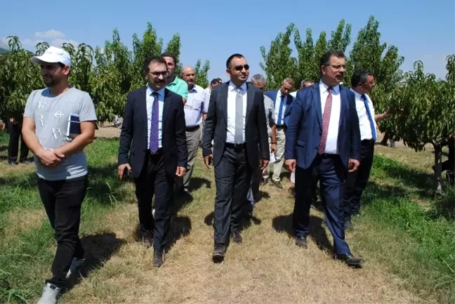 Eğirdir MAREM'de Şeftali Hasat Bayramı düzenlendi