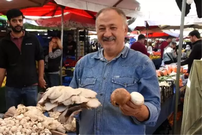 Uzmanlar doğadaki mantarlar için uyarıyor: Rus ruletinden daha riskli