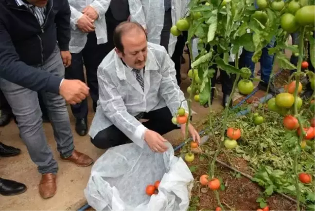 Vali Pehlivan: Habur Sınır Kapısı'ndan ihracat yüzde 30 arttı