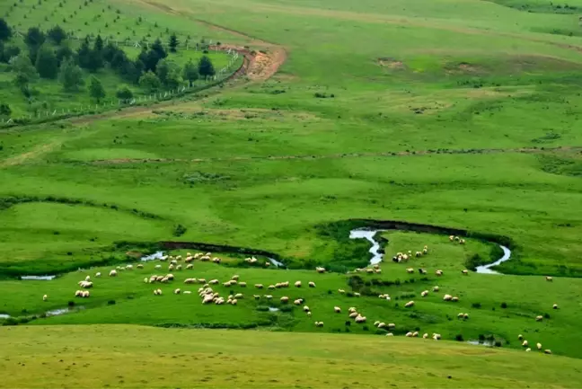 Arap turistlerin Karadeniz'deki yatırımları giderek artıyor