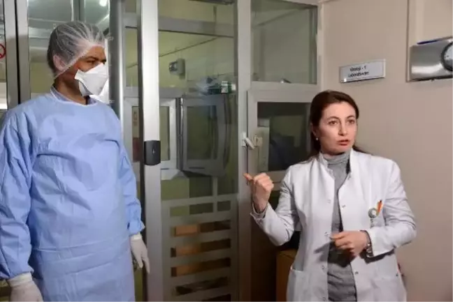 Erzurum'da incelenen 124 numune negatif çıktı