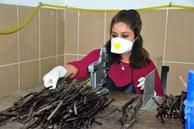 Koronavirüs işlerine engel olmadı