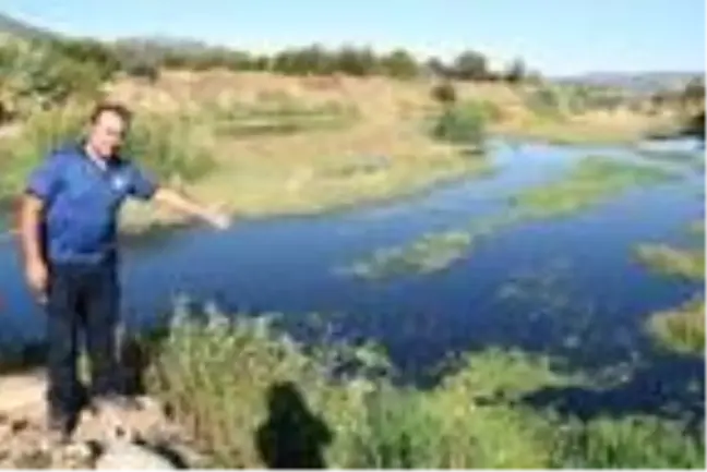 Gediz Nehri'ndeki kirlilik ve kokuya tepki