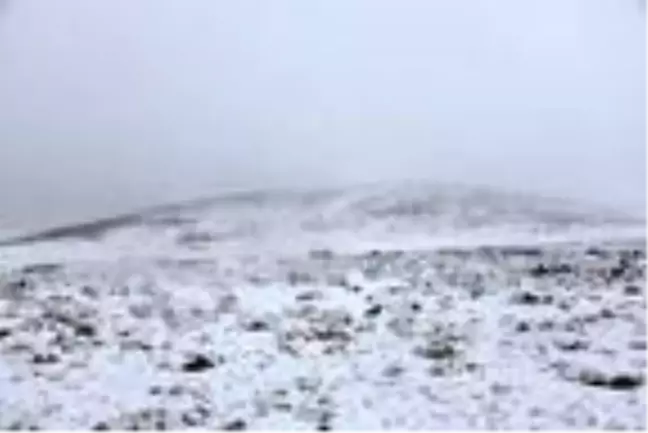 Siverek'te kar yağışının ardından Karacadağ beyaza büründü