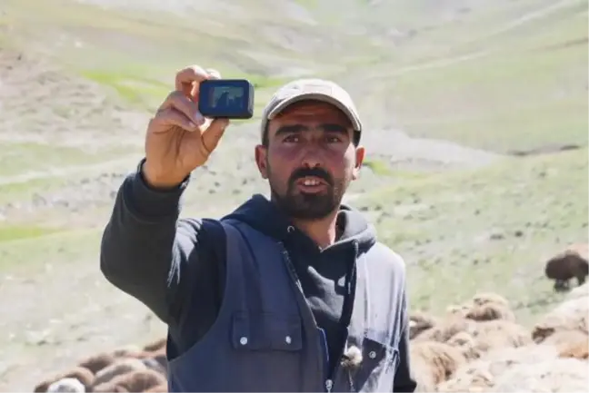Influencer shepherd's migration journey follow by thousands