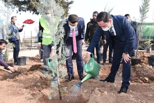 Nusaybin'de fidanlar toprakla buluştu