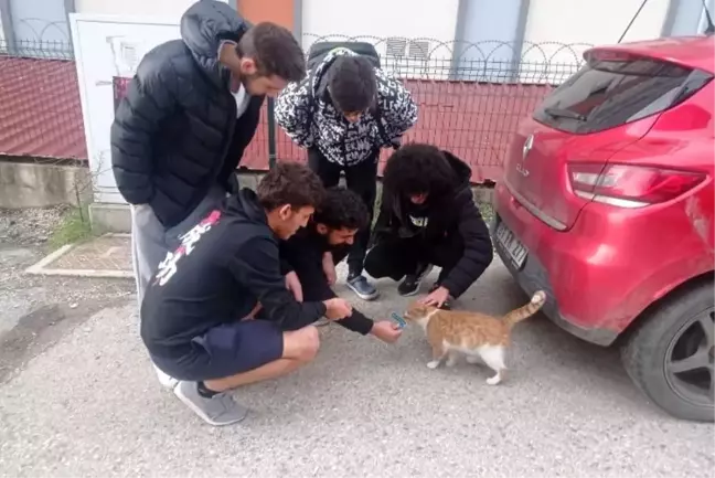 Sokak hayvanlarına öğrencilerden özel ilgi