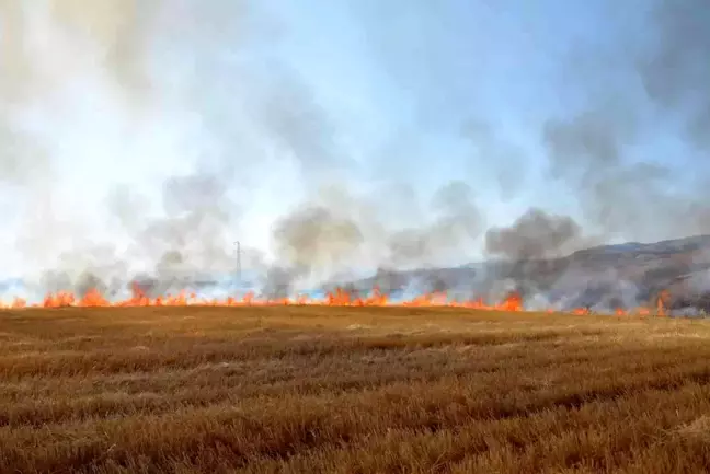 Siirt haber! Siirt'te çiftçilere ve piknikçilere anız uyarısı