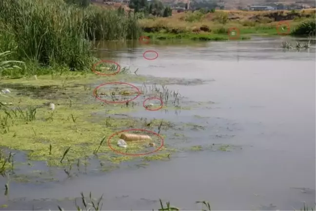 Dicle Nehri'ndeki Çöpler Hevsel Bahçeleri'ni Tehdit Ediyor