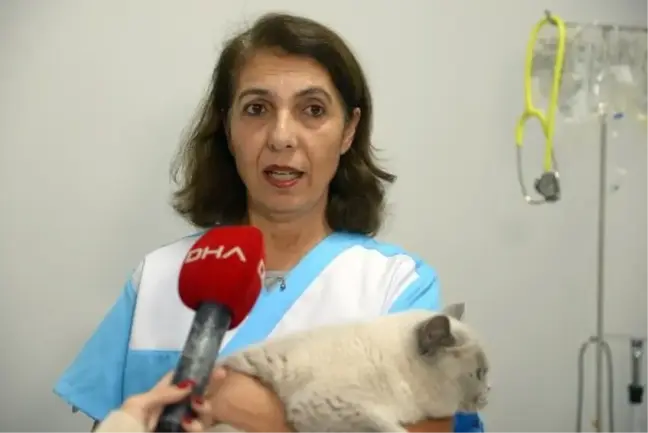 Ticari Amaçla Üretilen Kedilere Sahip Çıkıldı