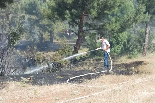 Çanakkale'de Tarım Arazisinde Çıkan Yangın Kontrol Altına Alındı