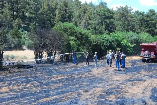 Çanakkale'de Tarım Arazisinde Yangın Çıktı