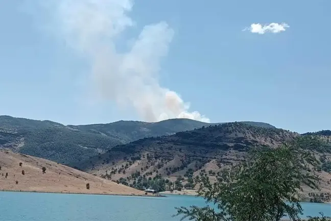 Tunceli'de Sarp Bir Alanda Orman Yangını